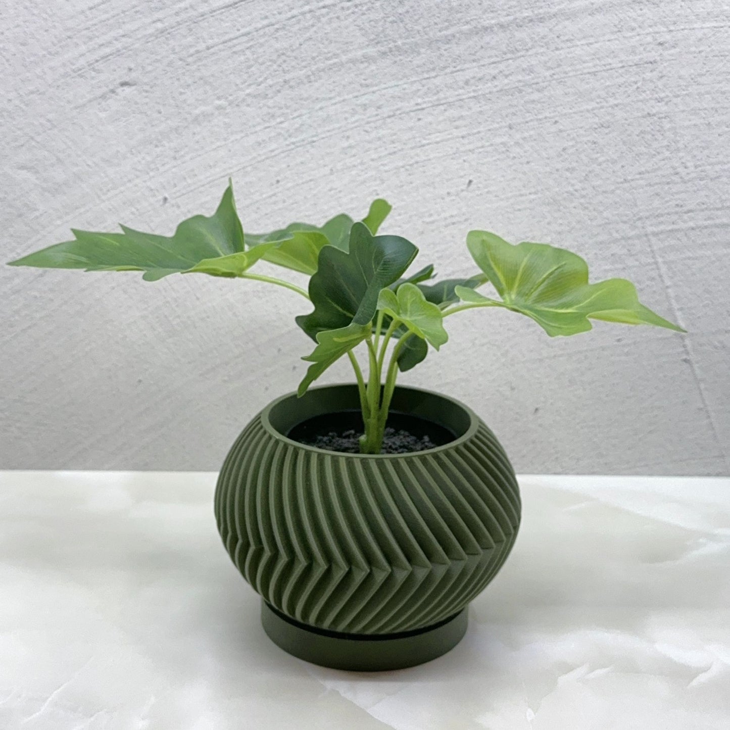 Zeno