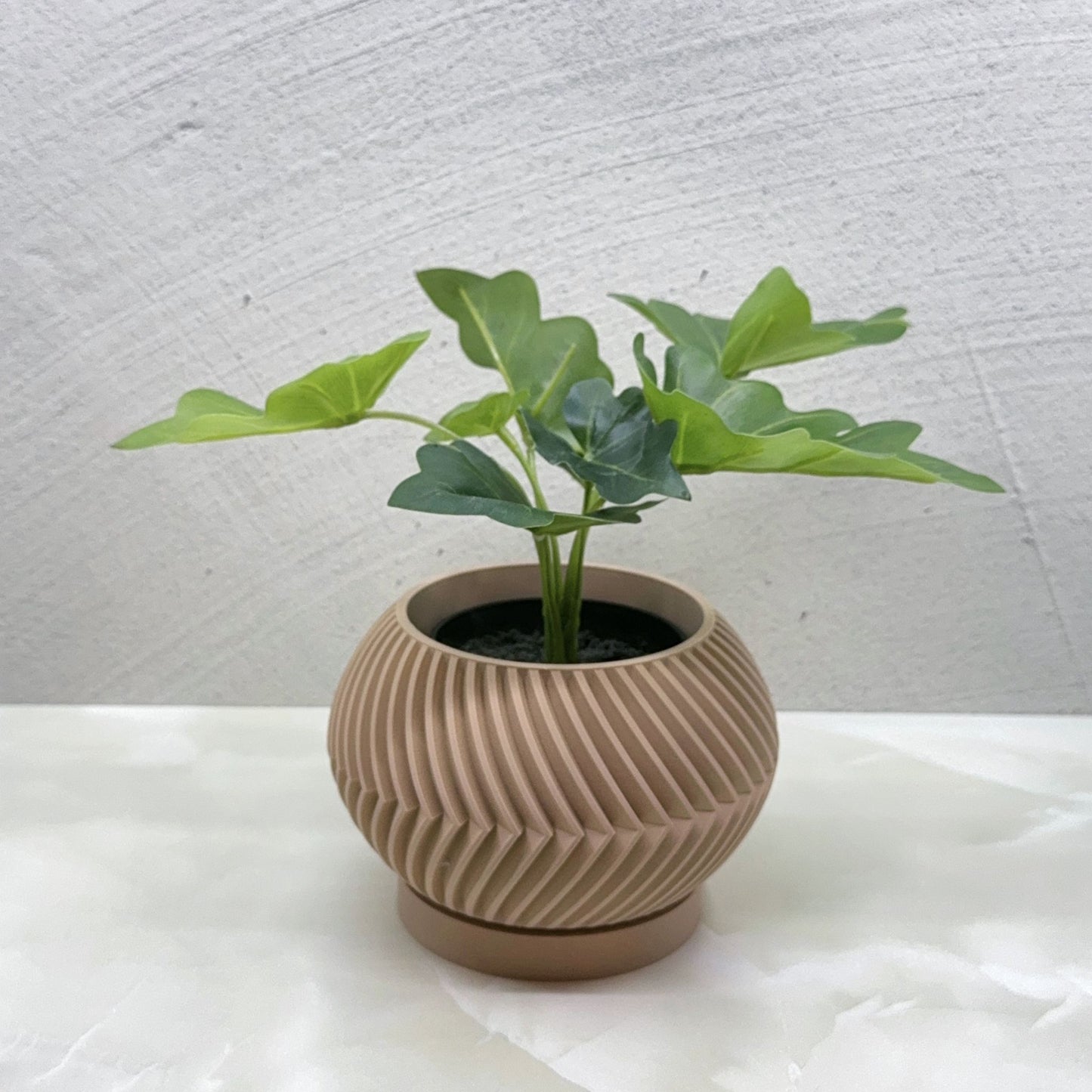 Zeno