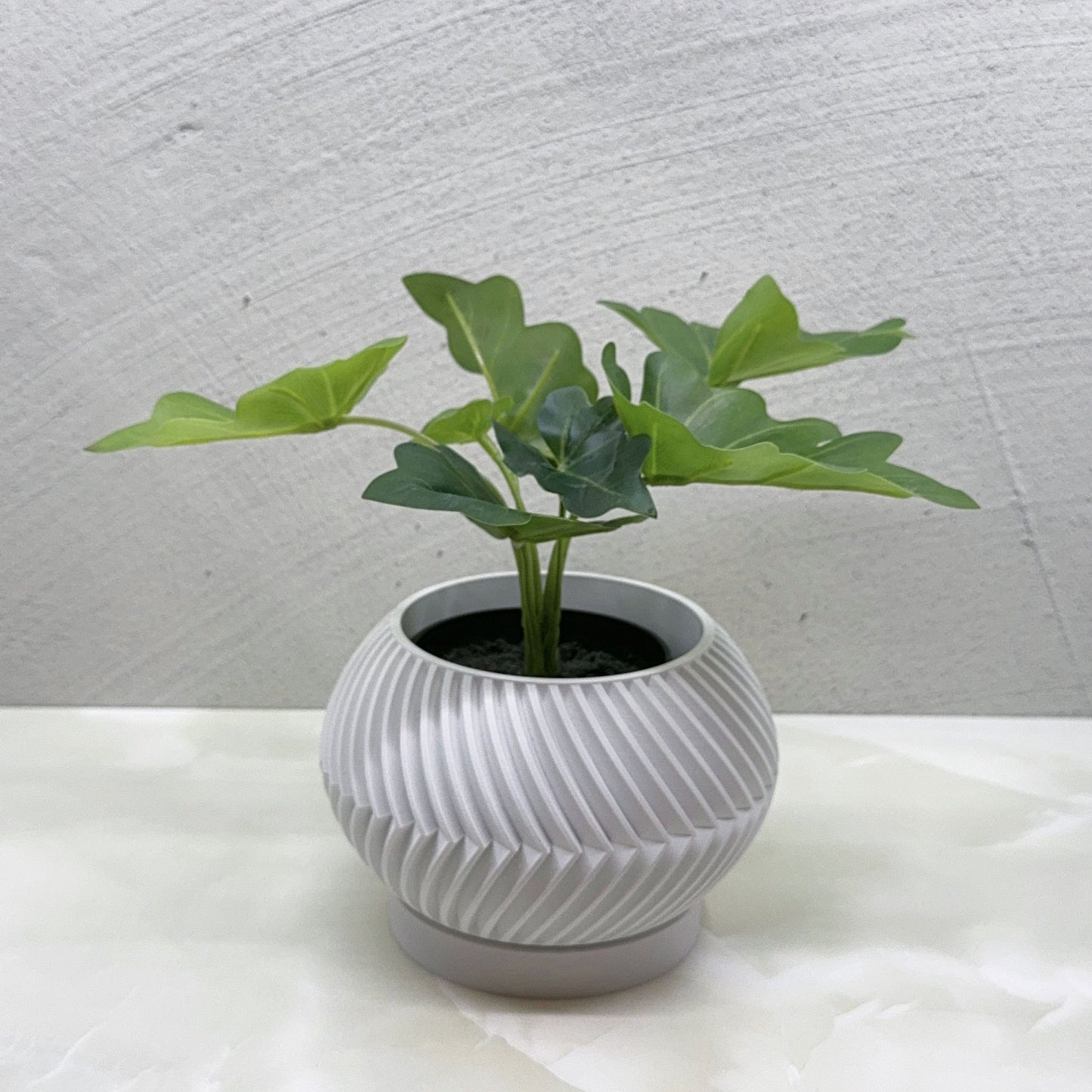 Zeno