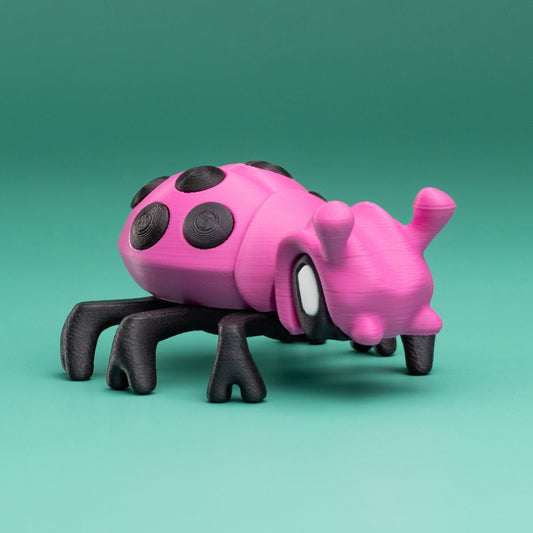 Coccinelle