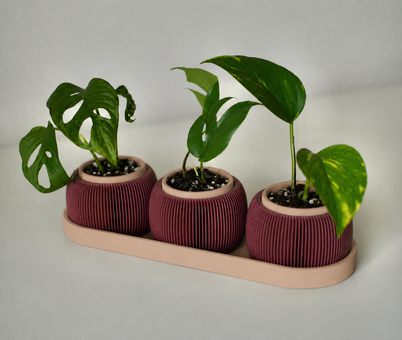 Pot Triolam