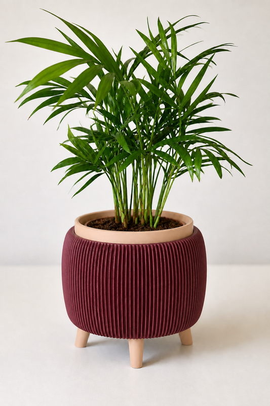 Pot Thalor avec pattes