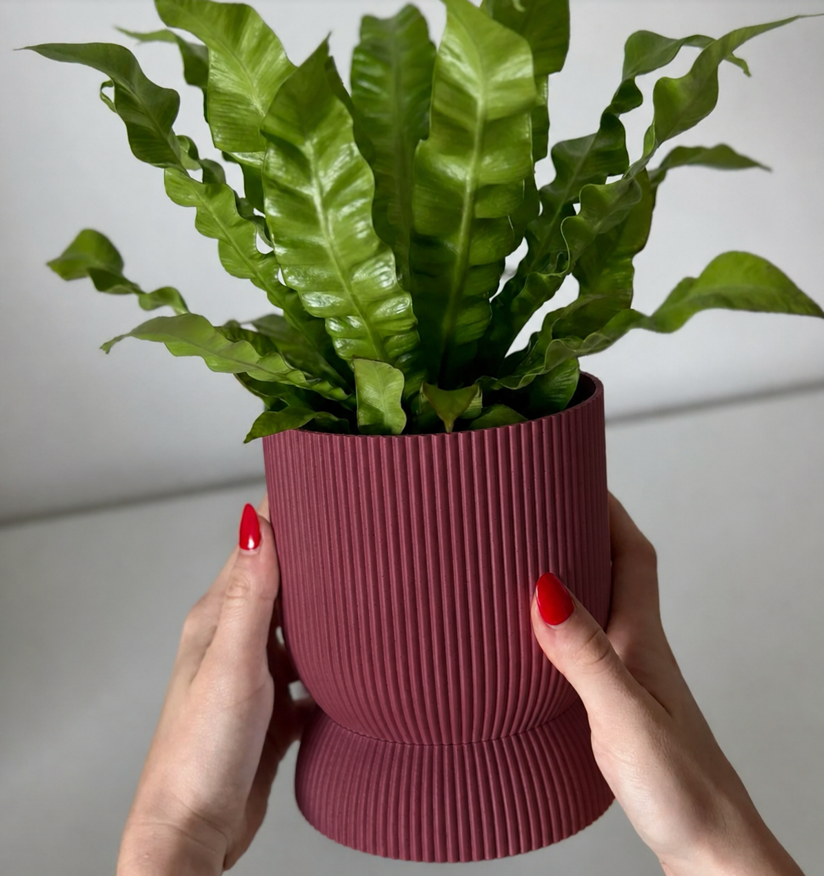 Pot VLNKA