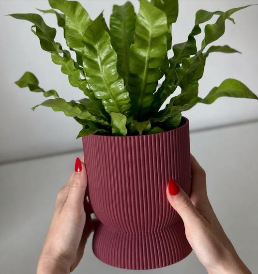 Pot VLNKA