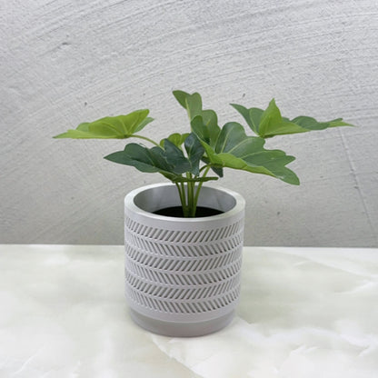 Quen Planter