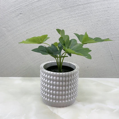 Tulam Planter